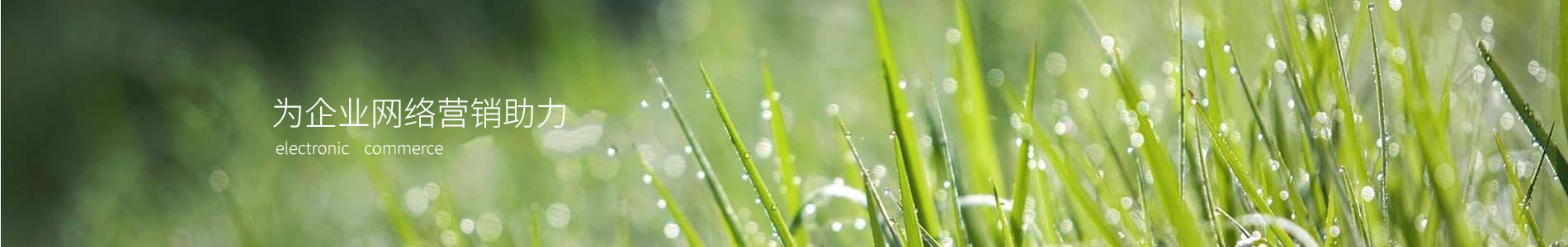 Ƽչ޹˾